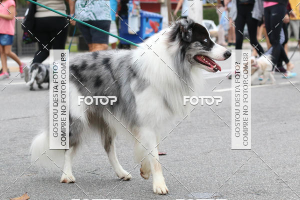 Buy your photos of the event13� C�ominhada - Santos on Fotop