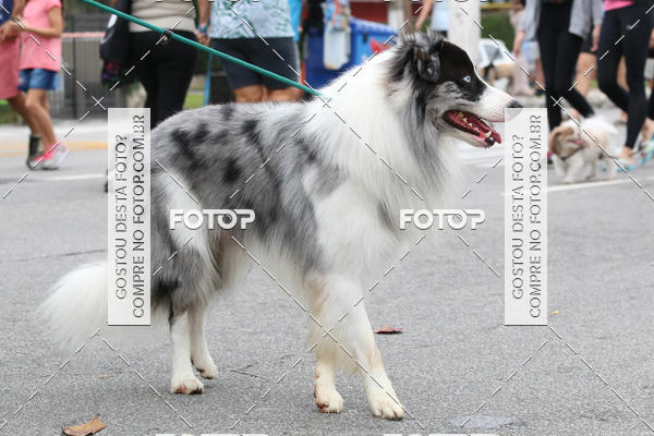 Buy your photos of the event13� C�ominhada - Santos on Fotop