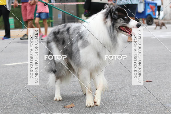 Buy your photos of the event13� C�ominhada - Santos on Fotop