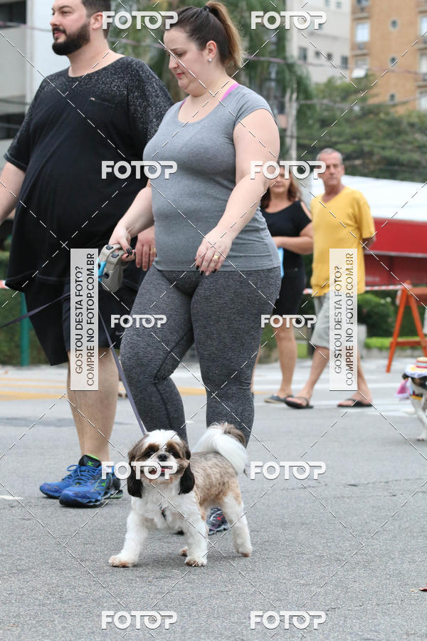 Buy your photos of the event13� C�ominhada - Santos on Fotop