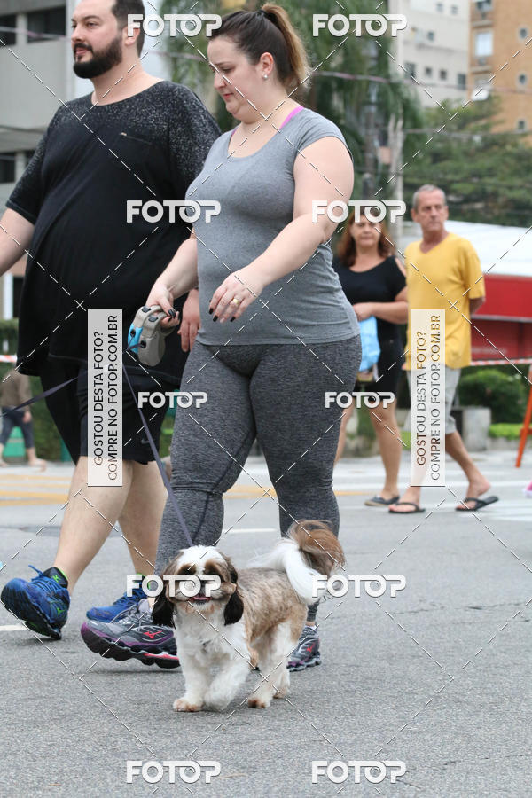 Buy your photos of the event13� C�ominhada - Santos on Fotop