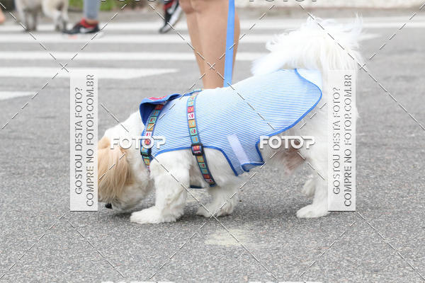 Buy your photos of the event13� C�ominhada - Santos on Fotop