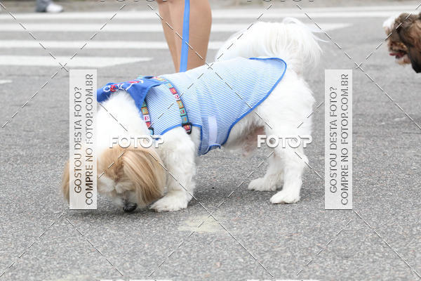 Buy your photos of the event13� C�ominhada - Santos on Fotop