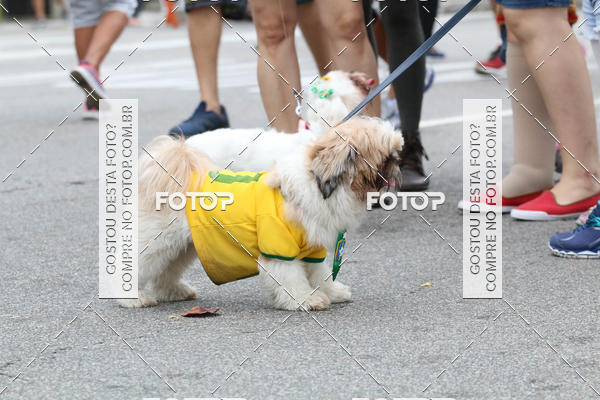 Buy your photos of the event13� C�ominhada - Santos on Fotop