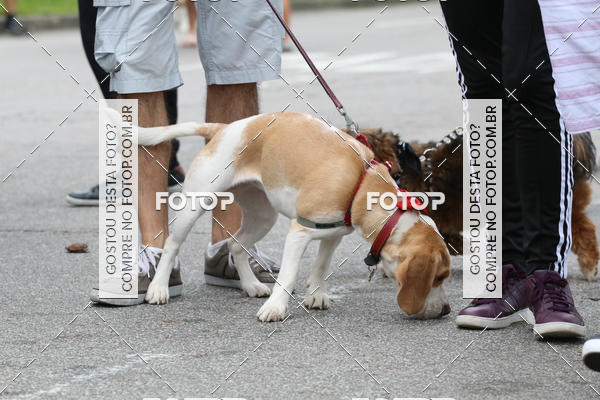 Buy your photos of the event13� C�ominhada - Santos on Fotop