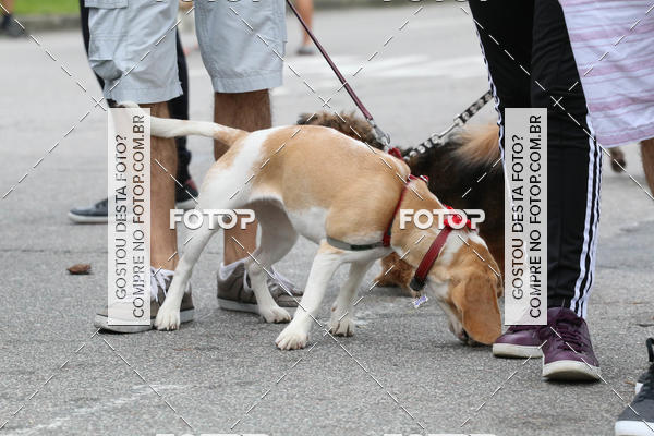 Buy your photos of the event13� C�ominhada - Santos on Fotop