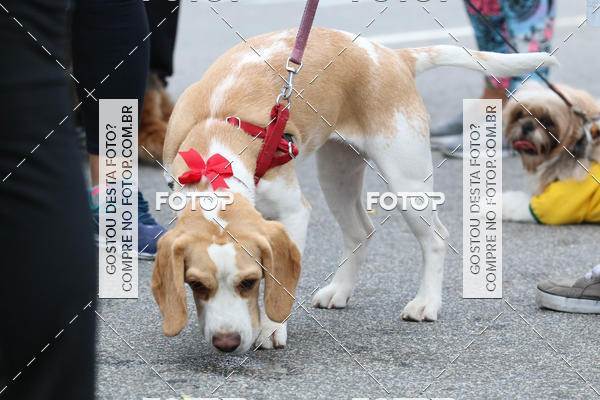 Buy your photos of the event13� C�ominhada - Santos on Fotop