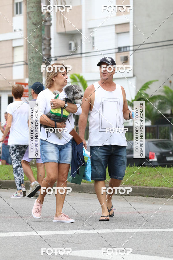 Buy your photos of the event13� C�ominhada - Santos on Fotop