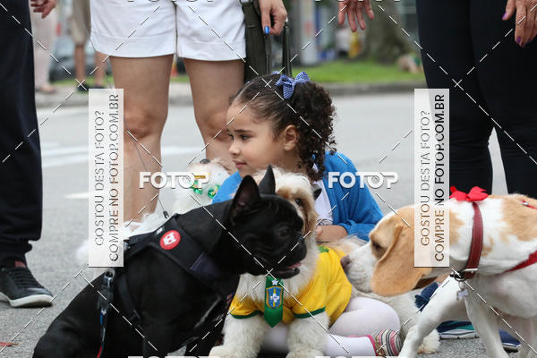 Buy your photos of the event13� C�ominhada - Santos on Fotop