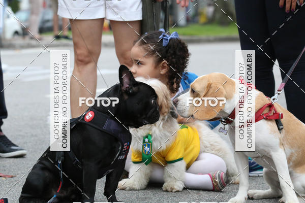 Buy your photos of the event13� C�ominhada - Santos on Fotop