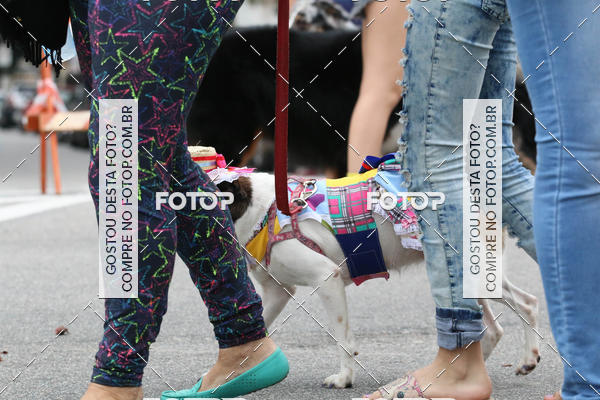 Buy your photos of the event13� C�ominhada - Santos on Fotop