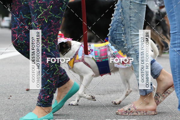 Buy your photos of the event13� C�ominhada - Santos on Fotop