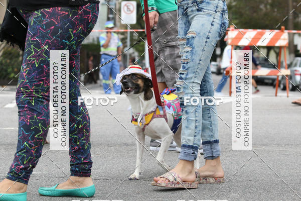 Buy your photos of the event13� C�ominhada - Santos on Fotop