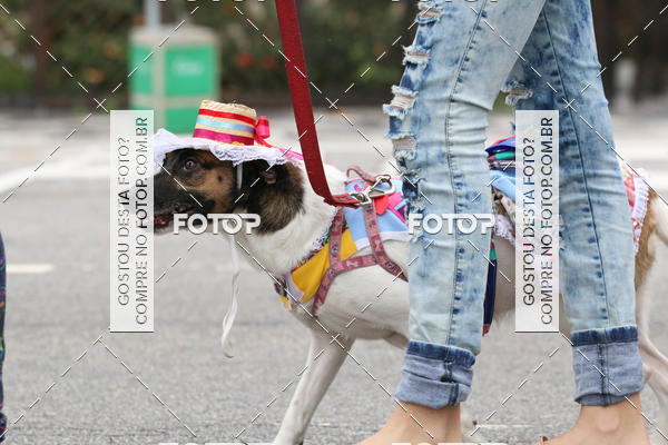 Buy your photos of the event13� C�ominhada - Santos on Fotop