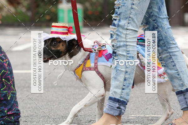 Buy your photos of the event13� C�ominhada - Santos on Fotop