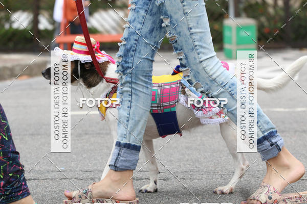 Buy your photos of the event13� C�ominhada - Santos on Fotop