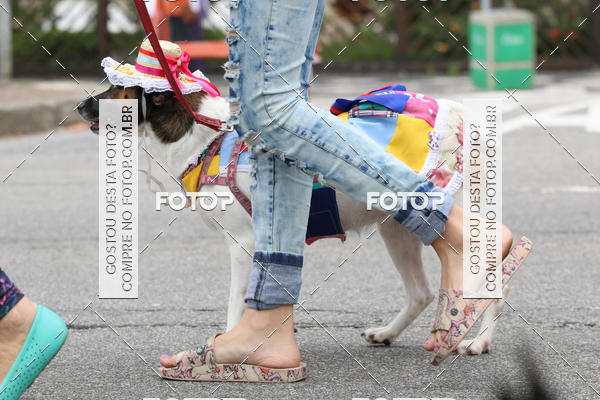 Buy your photos of the event13� C�ominhada - Santos on Fotop