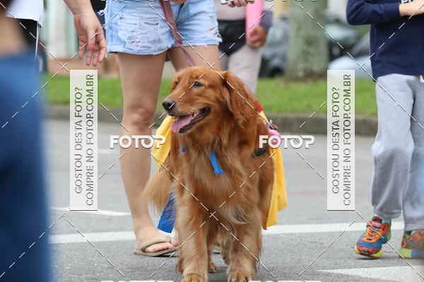 Buy your photos of the event13� C�ominhada - Santos on Fotop