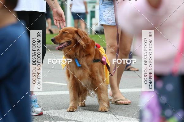 Buy your photos of the event13� C�ominhada - Santos on Fotop