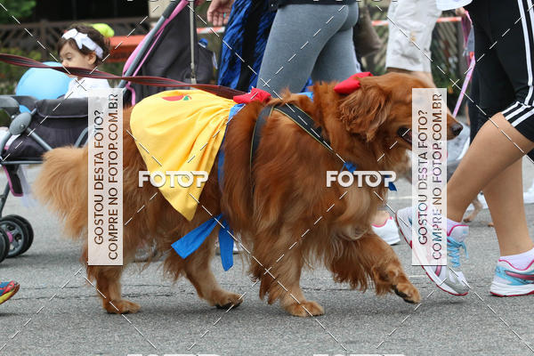 Buy your photos of the event13� C�ominhada - Santos on Fotop