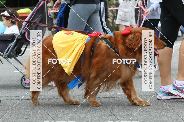 Buy your photos of the event13� C�ominhada - Santos on Fotop