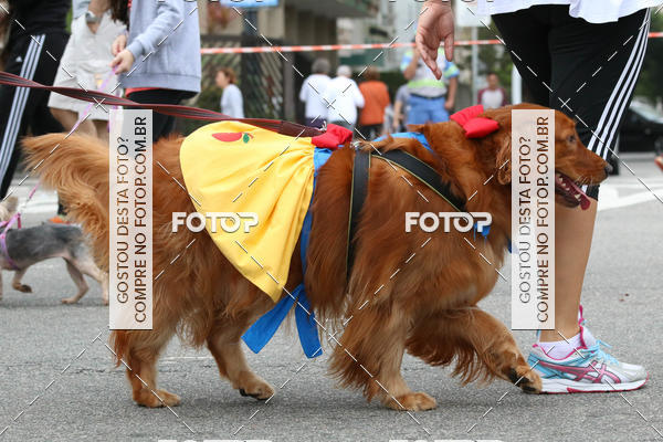 Buy your photos of the event13� C�ominhada - Santos on Fotop