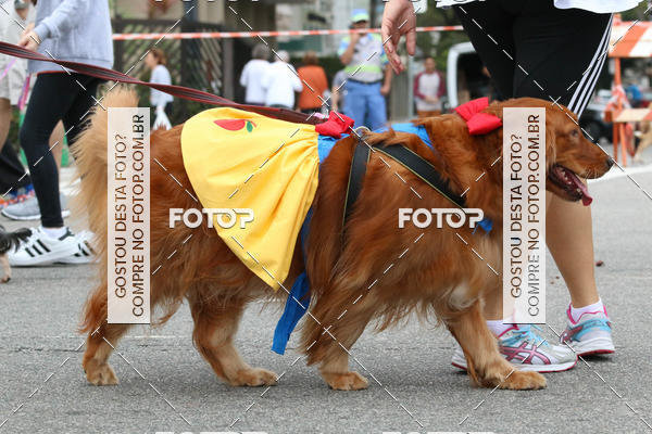 Buy your photos of the event13� C�ominhada - Santos on Fotop