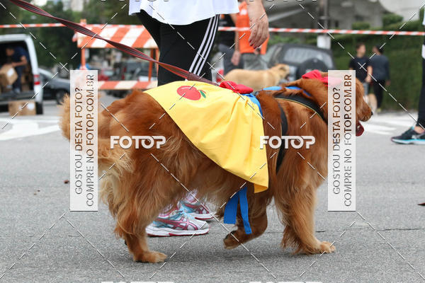 Buy your photos of the event13� C�ominhada - Santos on Fotop