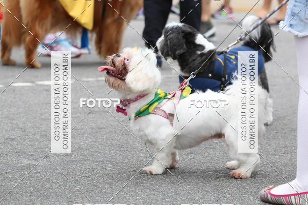 Buy your photos of the event13� C�ominhada - Santos on Fotop