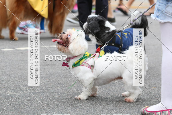 Buy your photos of the event13� C�ominhada - Santos on Fotop