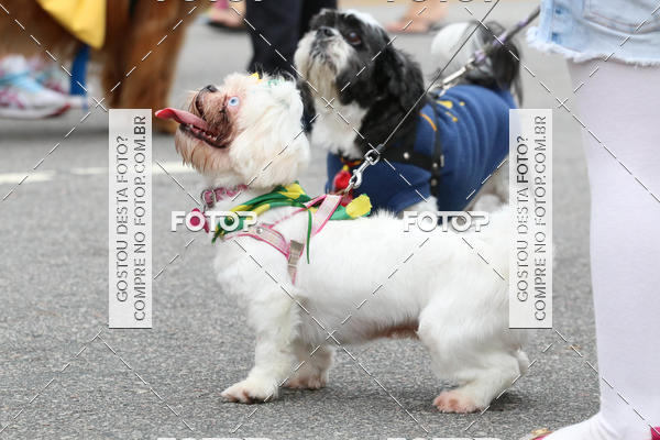 Buy your photos of the event13� C�ominhada - Santos on Fotop