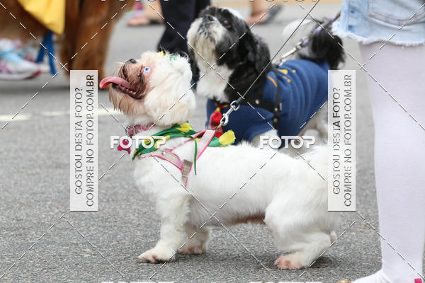 Buy your photos of the event13� C�ominhada - Santos on Fotop