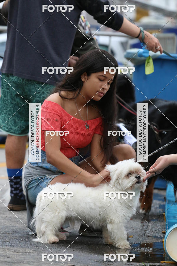 Buy your photos of the event13� C�ominhada - Santos on Fotop