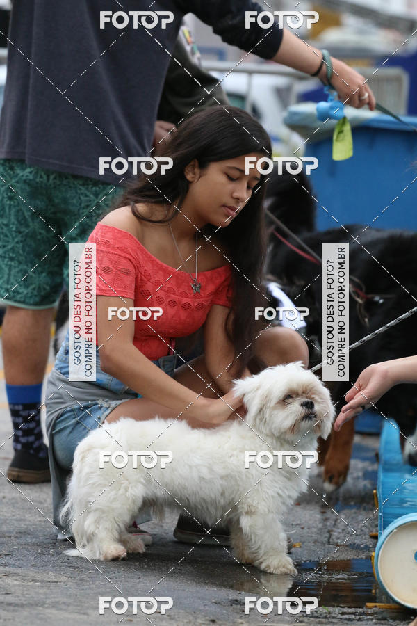 Buy your photos of the event13� C�ominhada - Santos on Fotop