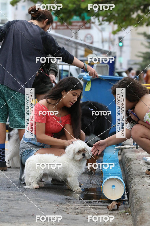 Buy your photos of the event13� C�ominhada - Santos on Fotop