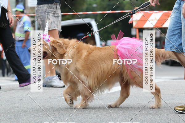 Buy your photos of the event13� C�ominhada - Santos on Fotop