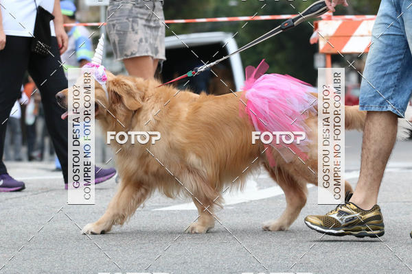 Buy your photos of the event13� C�ominhada - Santos on Fotop