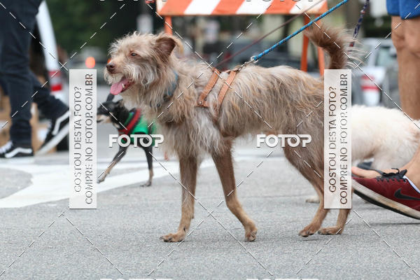 Buy your photos of the event13� C�ominhada - Santos on Fotop