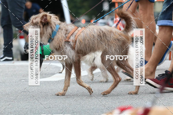 Buy your photos of the event13� C�ominhada - Santos on Fotop