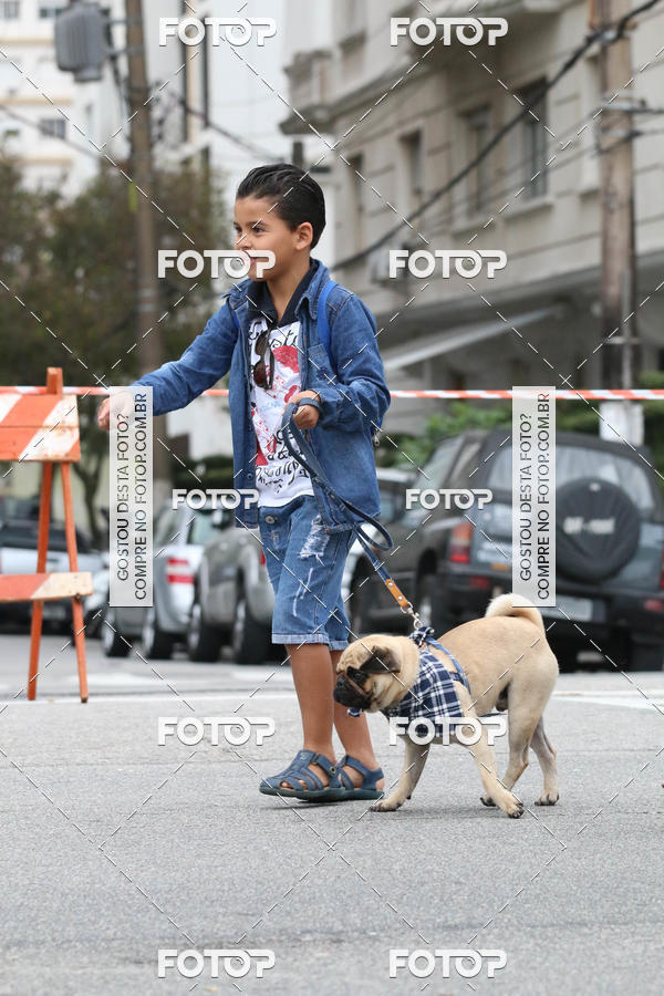 Buy your photos of the event13� C�ominhada - Santos on Fotop