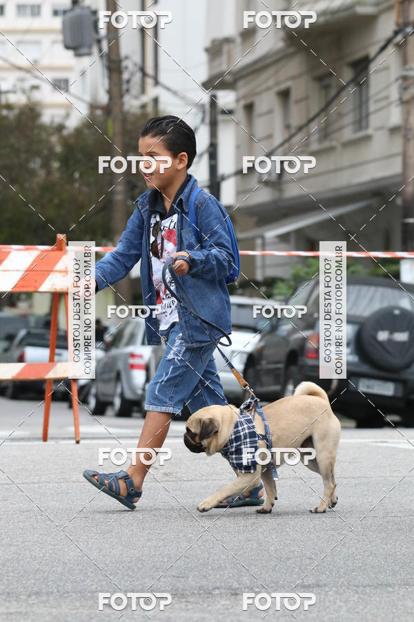 Buy your photos of the event13� C�ominhada - Santos on Fotop