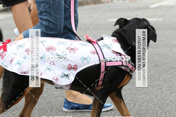 Buy your photos of the event13� C�ominhada - Santos on Fotop