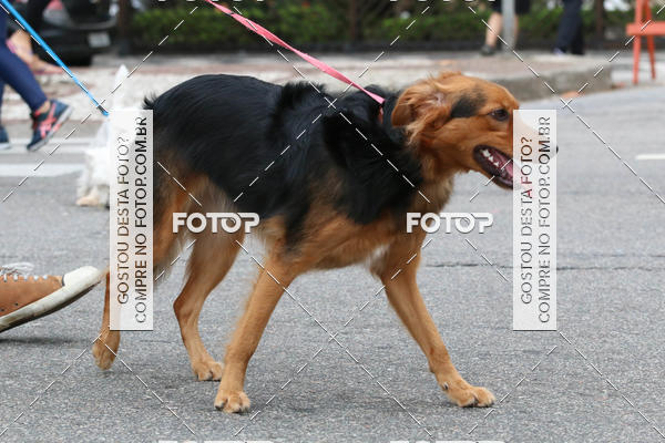 Buy your photos of the event13� C�ominhada - Santos on Fotop