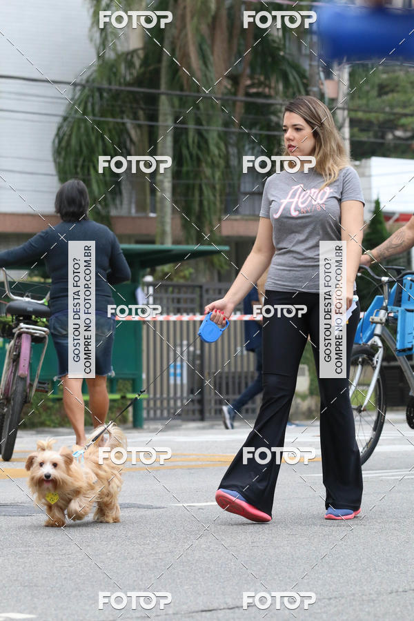 Buy your photos of the event13� C�ominhada - Santos on Fotop