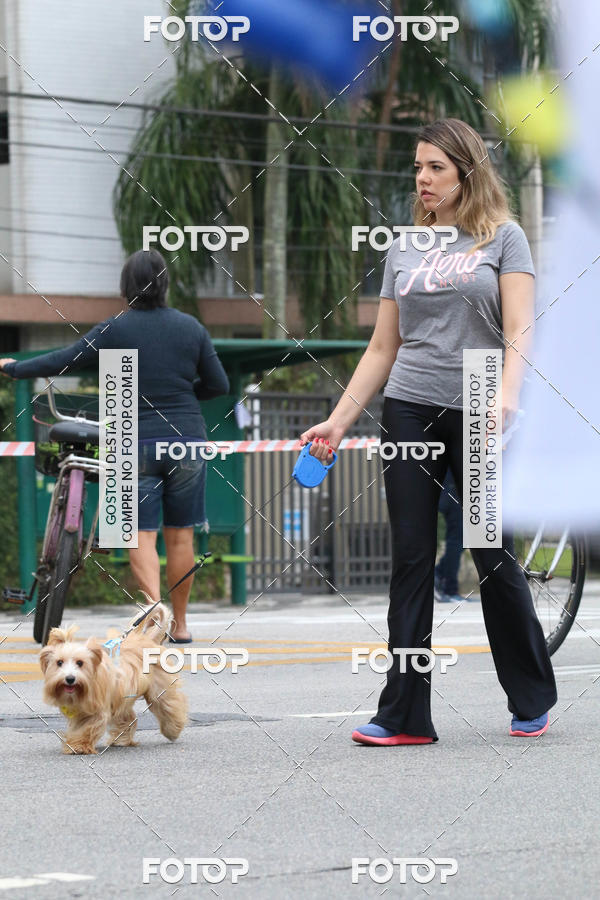 Buy your photos of the event13� C�ominhada - Santos on Fotop