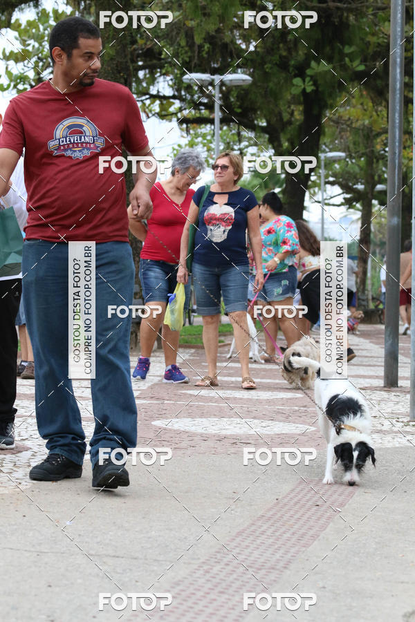 Buy your photos of the event13� C�ominhada - Santos on Fotop