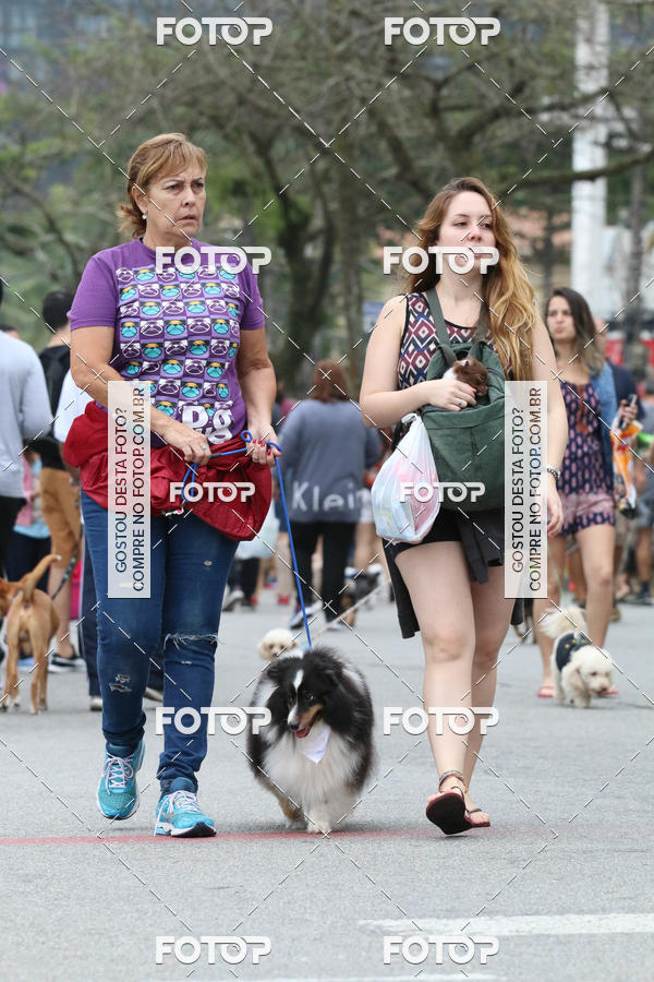 Buy your photos of the event13� C�ominhada - Santos on Fotop