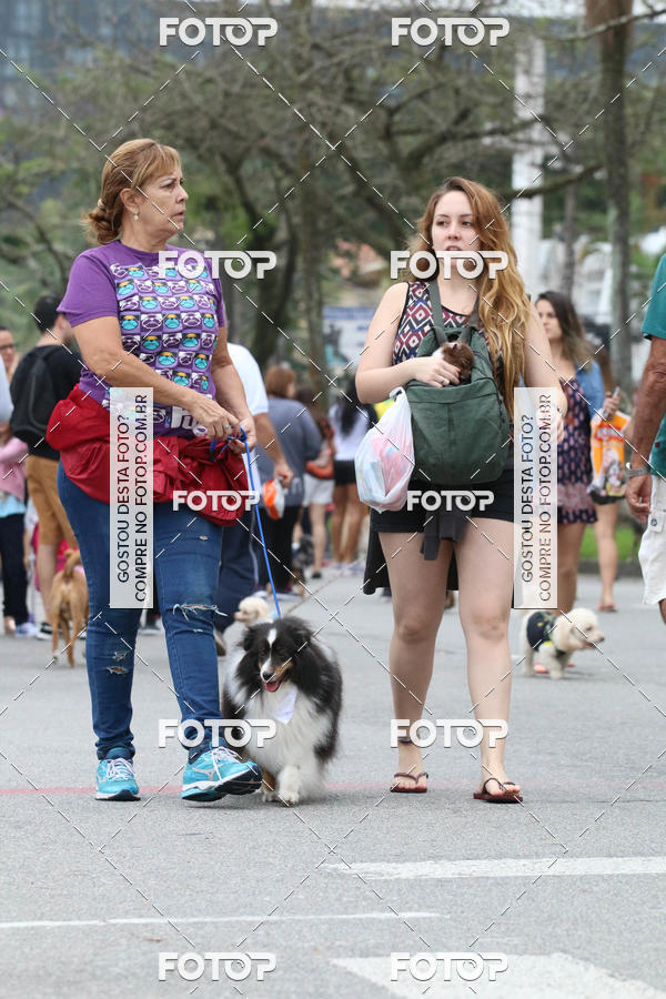 Buy your photos of the event13� C�ominhada - Santos on Fotop