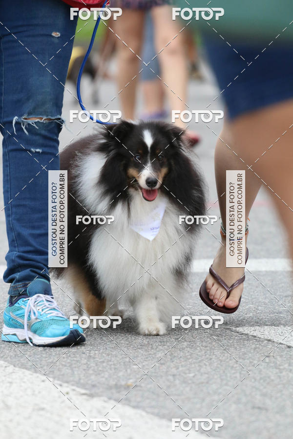 Buy your photos of the event13� C�ominhada - Santos on Fotop