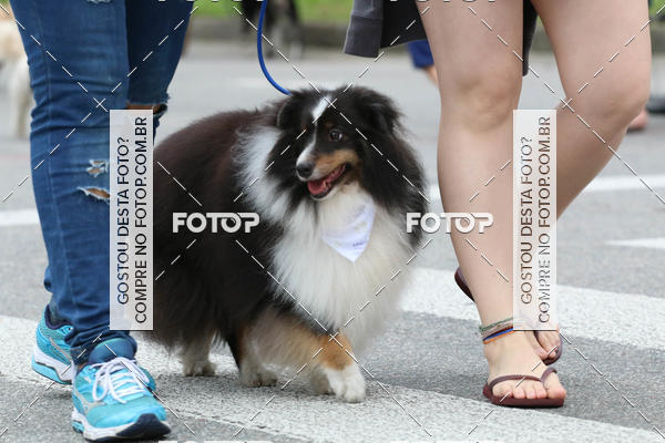 Buy your photos of the event13� C�ominhada - Santos on Fotop